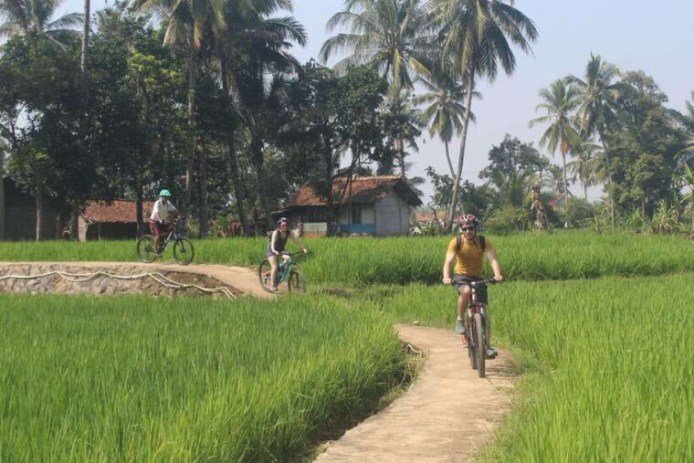 cianjur-downhill-and-countryside-cianjur-cycling-tour