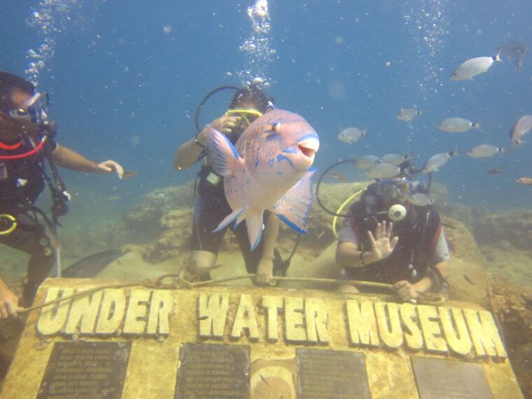 city-of-side-scuba-diving-with-lunch