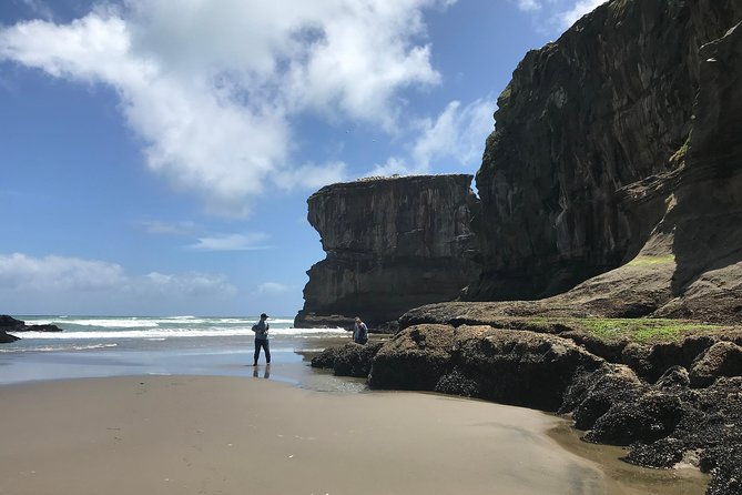 City to Surf Signature Private Tour - Who Will Love This Tour?