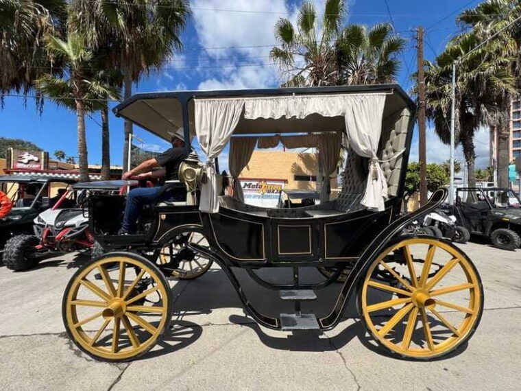 city-tour-on-electric-horse-wagon