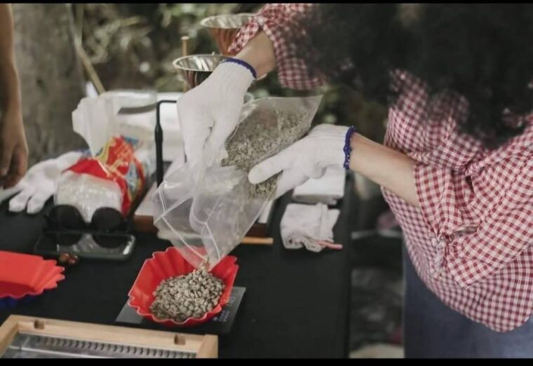 coffee-farm-tour-that-give-experience-of-coffee