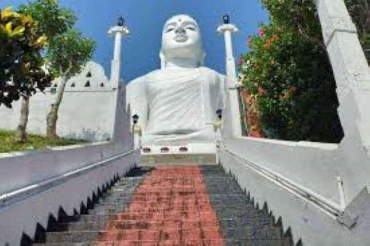 colombo-kandy-and-pinnawala-full-day-trip