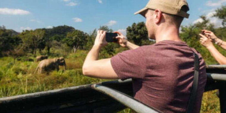 colombo-negombo-sigiriya-dambulla-cave-safari-day-tour