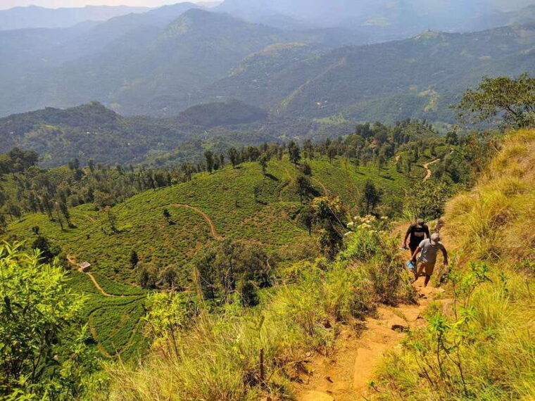 colombo-southern-sri-lanka-and-hill-country-3-days-tour