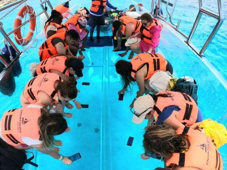 cozumel-clear-boat-snorkel-tour-with-marine-life