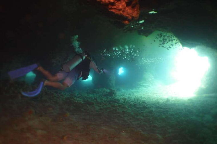 cozumel-discover-scuba-diving-at-chankanaab-marine-park