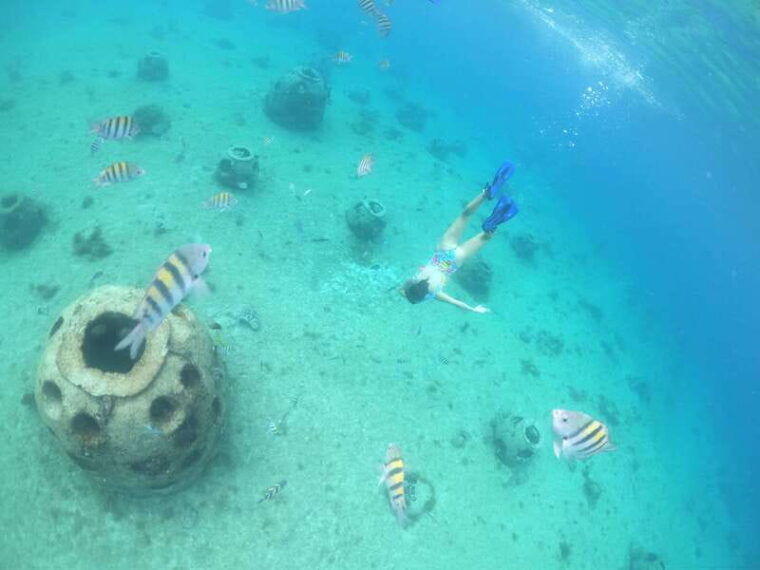 cozumel-invisible-boat-snorkeling-tour