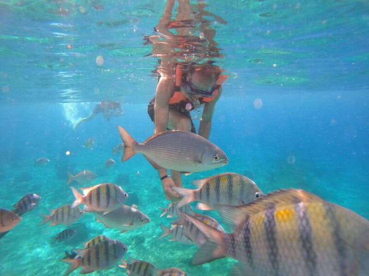 cozumel-transparent-boat-tour-with-snorkeling-and-2-beers-clear-boat