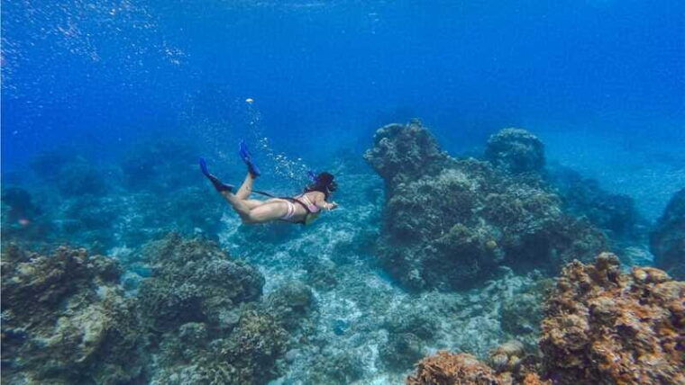 cozumel-transparent-bottom-boat-tour-and-snorkeling-activity