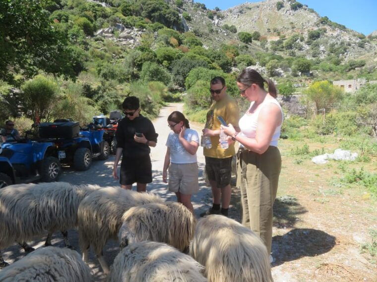 crete-quad-safari-off-roadbreathtaking-sceneryamazing-view