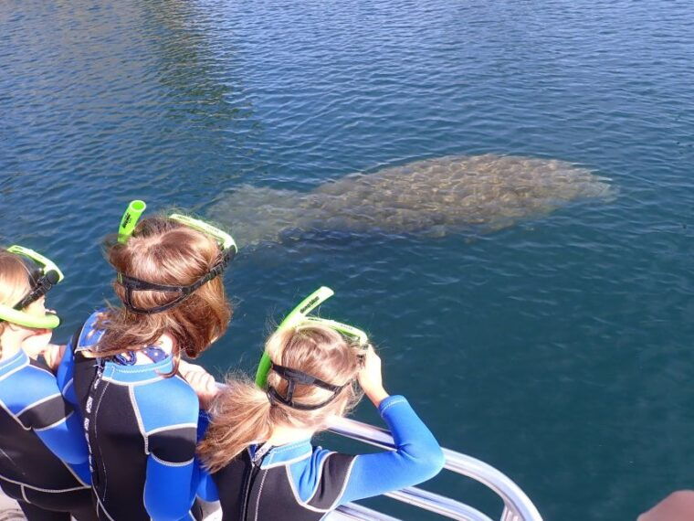 crystal-river-manatee-swim-group-tour
