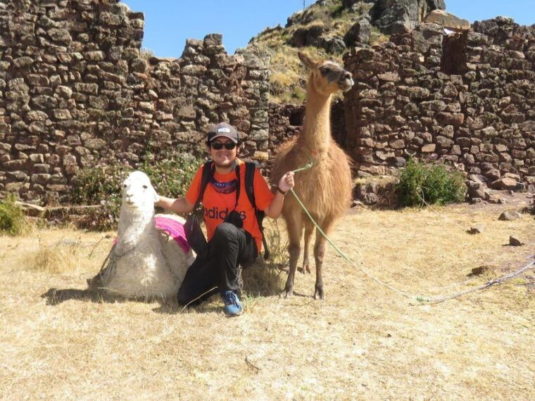 cusco-alpaca-therapy-in-the-cuyo-chico-community-half-day