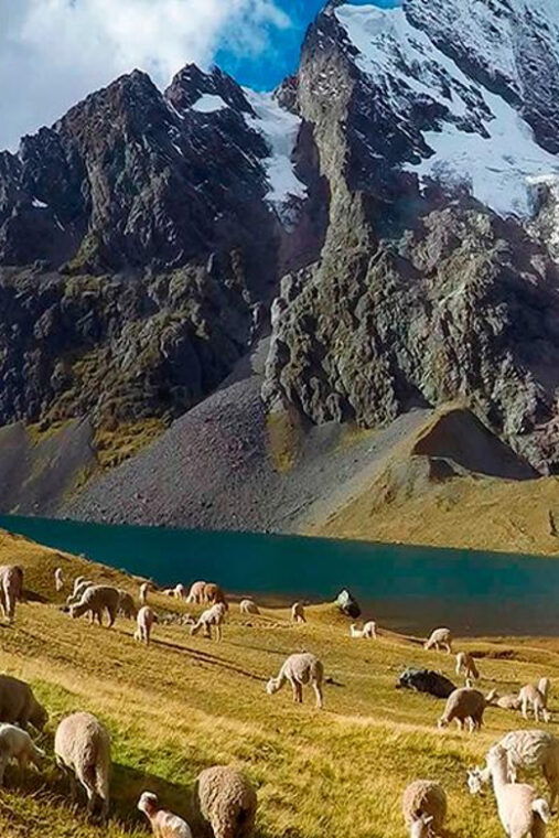 cusco-trekking-through-the-7-lakes-of-ausangate