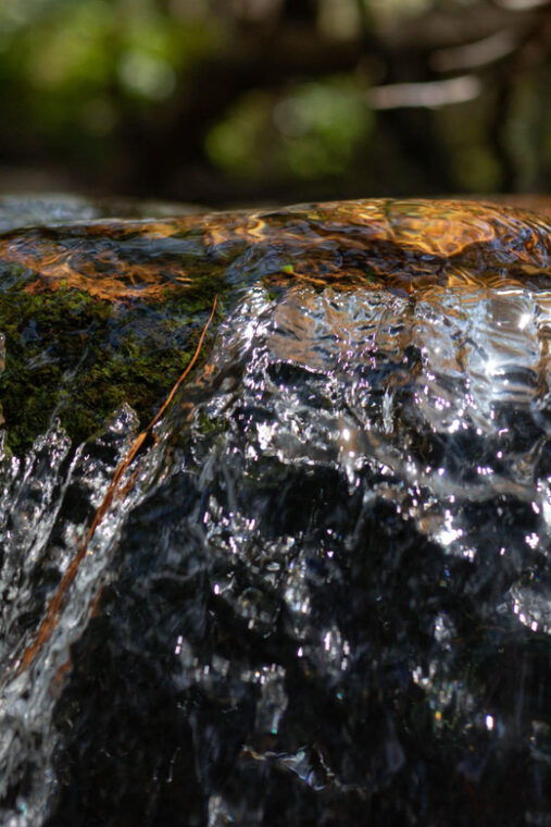 dalat-silent-tour-hiking-swiming-waterfall