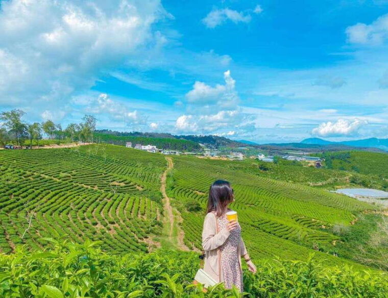 dalat-sunrise-clouds-peaceful-mornings-from-400-to-1000