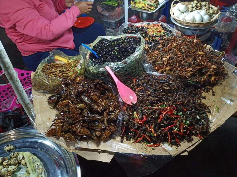 day-trip-to-sambor-preikuk-kuhak-nokor-spider-market