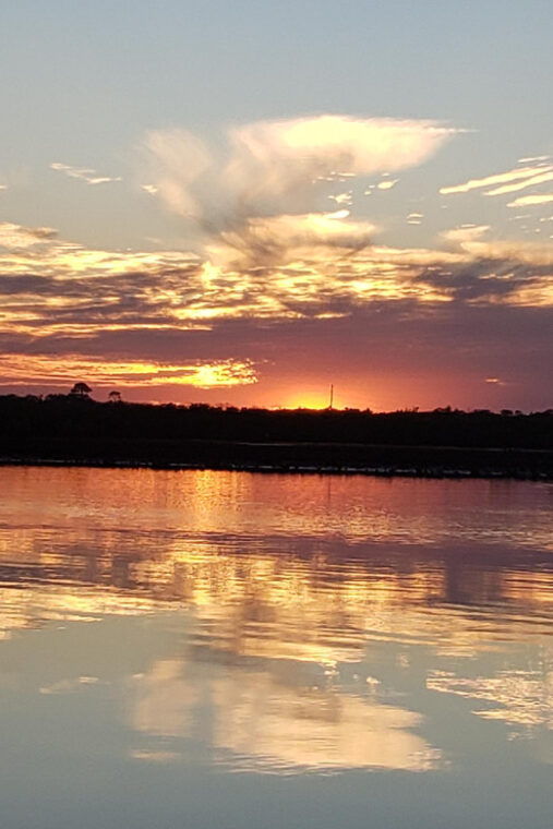 daytona-new-smyrna-beach-unforgettable-kayak-wildlife-tours