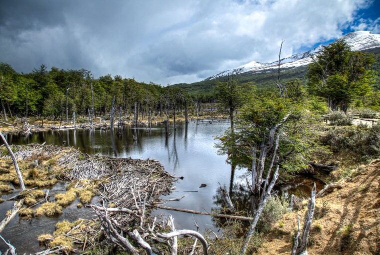 discover-tierra-del-fuego-national-park