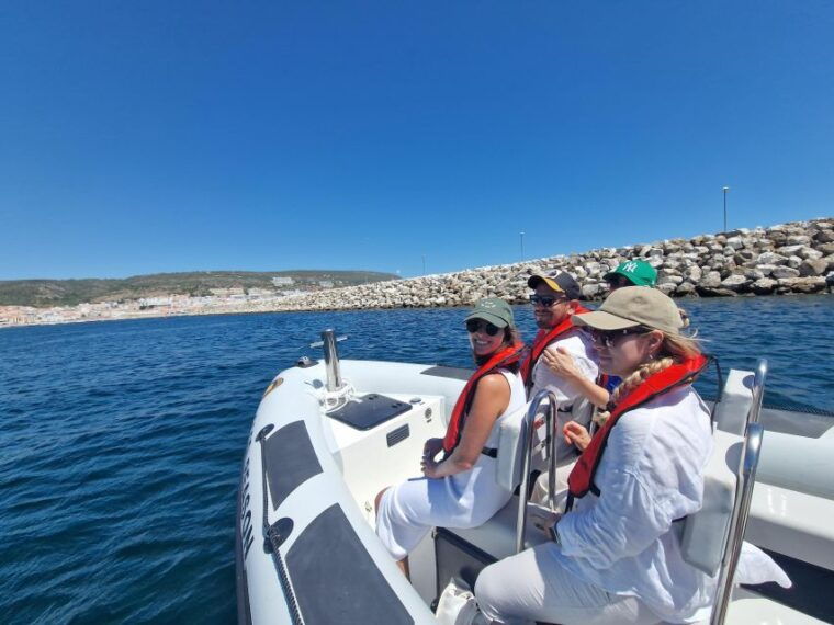 dolphin-watching-sesimbra-arrabida-natural-park