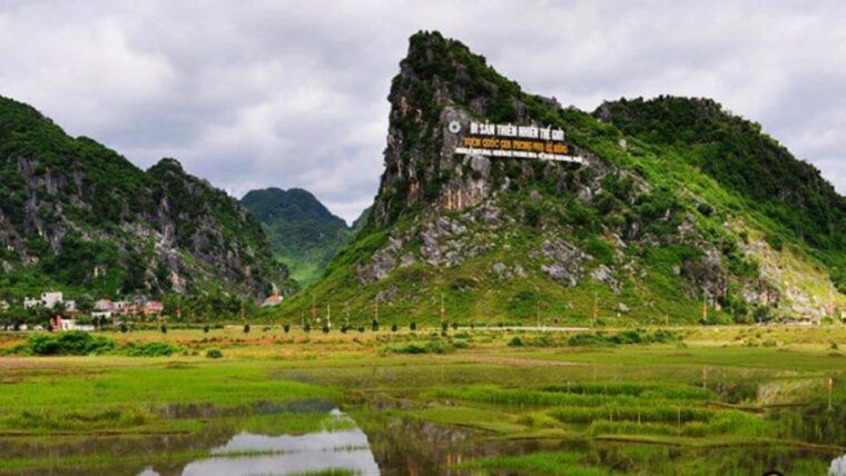 dong-hoi-explore-paradise-cave-phong-nha-cave-with-lunch