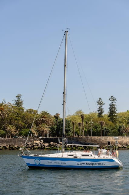 douro-river-cruise-with-cheese-tonic-porto-in-a-sailboat