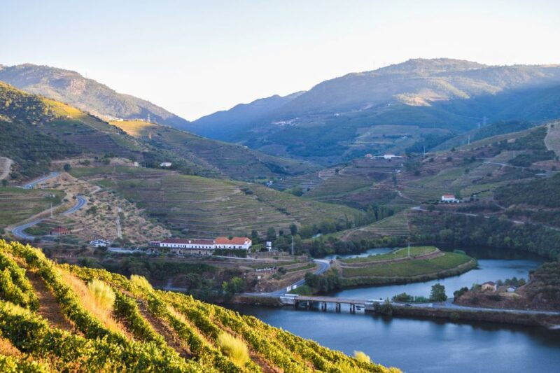 douro-valley-quinta-do-tedo-wine-experience-with-picnic