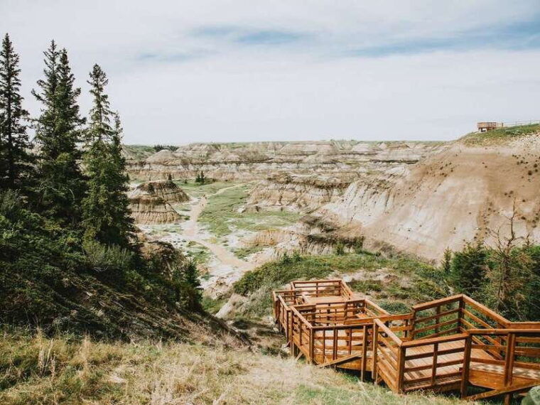 drumheller-bad-land-dinosaur-museum-tour-from-calgary