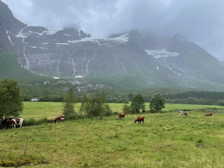 e-bike-tour-of-hellesylt-to-norangsdalen
