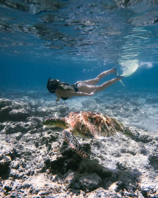 east-bali-blue-lagoon-snorkeling-all-inclusive