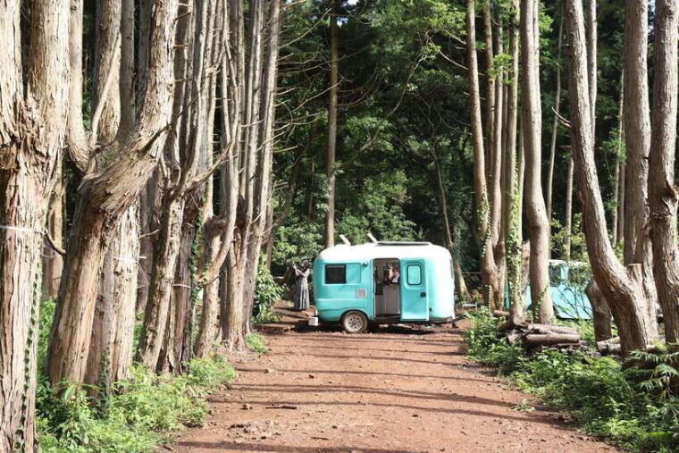 east-of-jeju-island-bus-tour-from-seogwipo-city-jeju-island