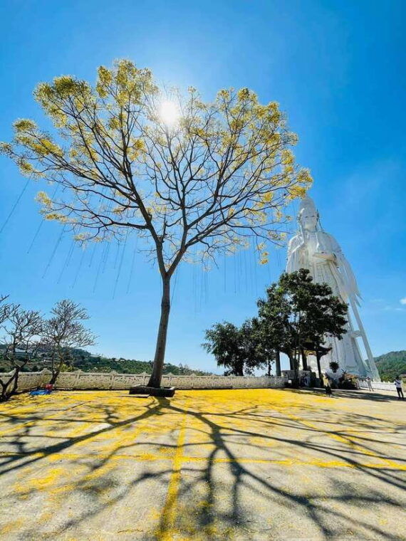 easy-rider-dalat-to-nha-trang-by-motorbike-tour-3-days