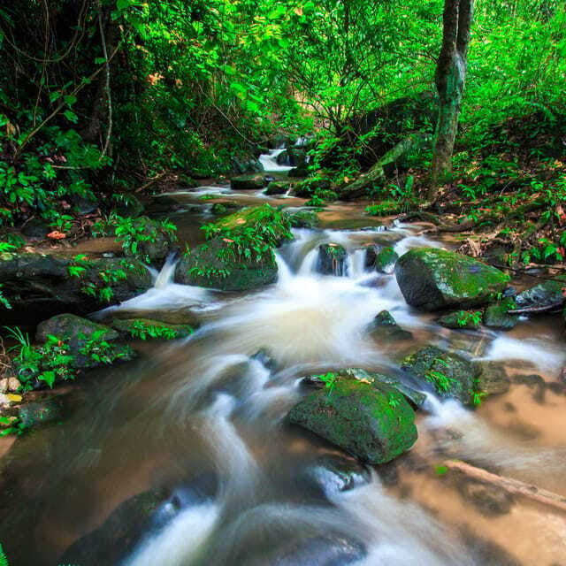 eco-friendly-doi-inthanon-pha-dok-siew-trekking-day-trip