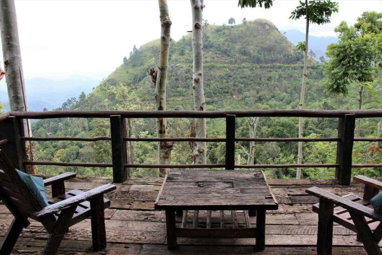 ella-guided-day-tour-with-tea-estate-visit