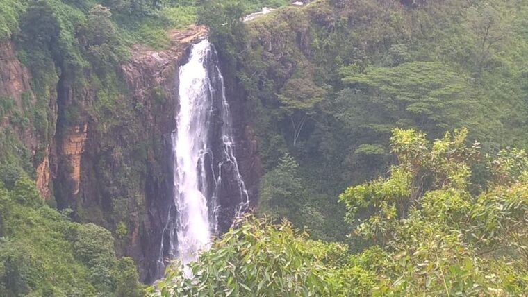 enjoy-a-rail-adventure-from-kandy-to-nuwara-eliya-day-tour