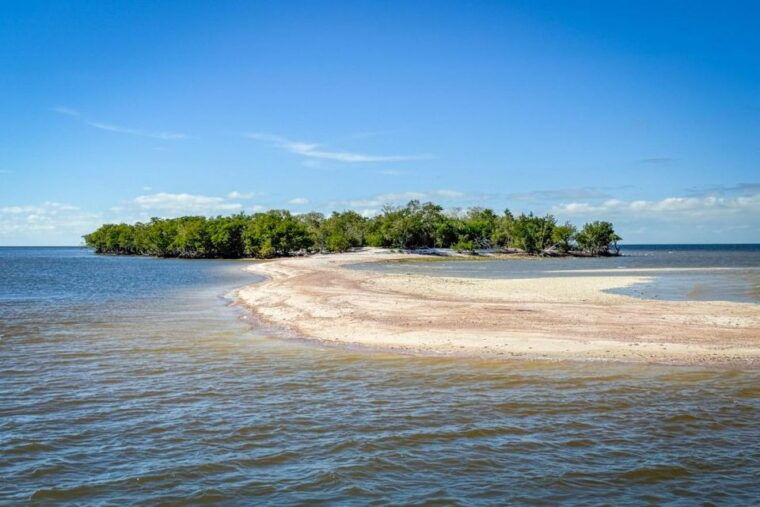 everglades-national-park-pontoon-boat-tour-boardwalk