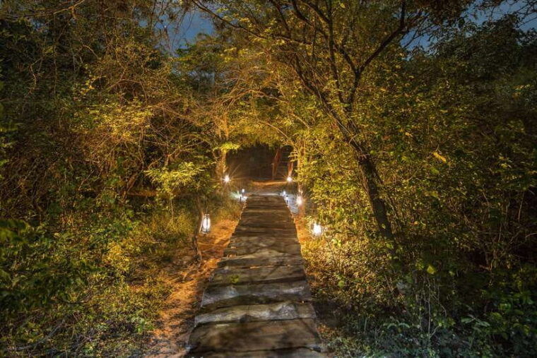exclusive-evening-yala-safari-and-nature-trail