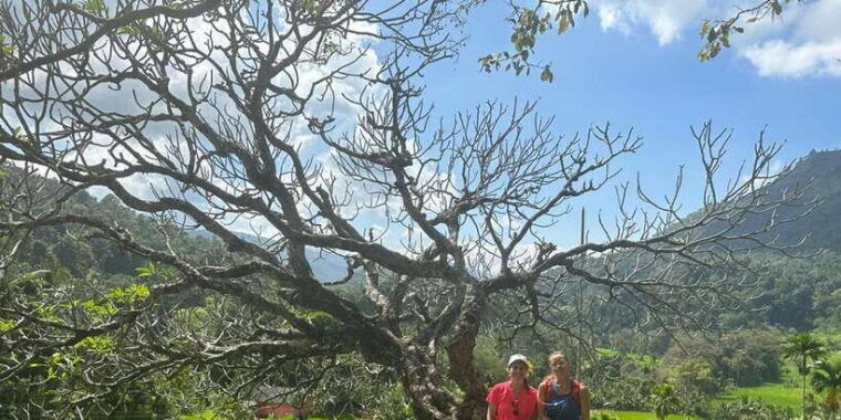 exclusive-knuckles-camping-tour-from-kandy