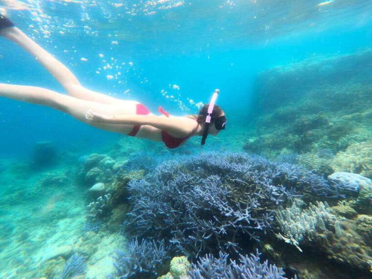 exclusive-lombok-fishing-snorkeling-tour-across-4-gilis