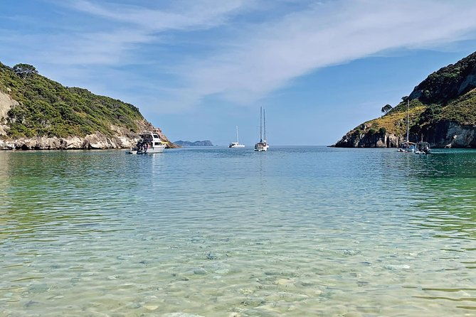 Exclusive Sailing Charter from Waiheke Island - FAQ