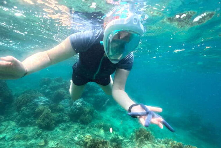 exclusive-snorkeling-experience-to-gili-gede-and-4-gilis