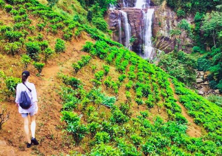 exclusive-village-trekking-tour-at-ramboda
