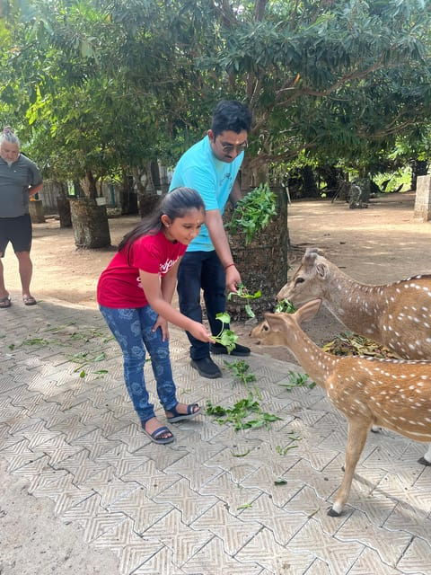explore-beautiful-trincomalee-with-a-tour-guide