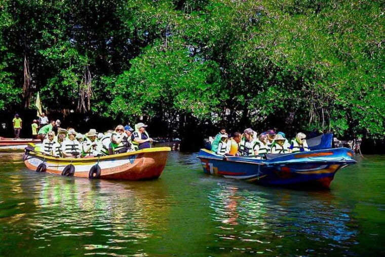 explore-bentota-riversafari-tour-with-hotel-pickupdrop-off