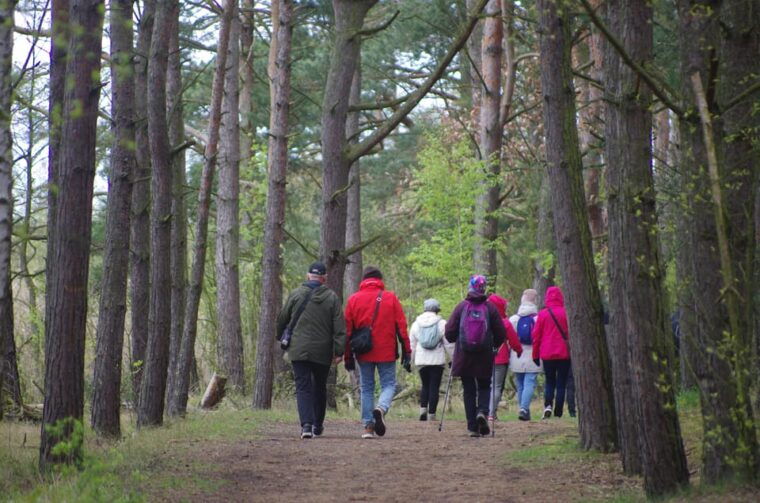 explore-sobieszewo-island-nature-walk-wildlife-tour