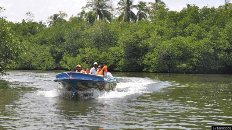 exploring-galle-madu-river-turtle-hatchery-adventure