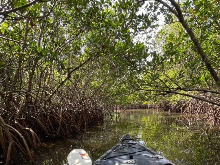 fort-pierce-prehistoric-preserve-kayak-tour