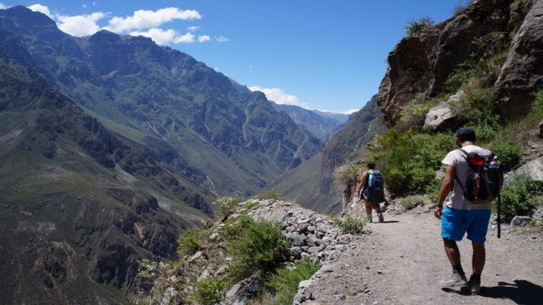 from-arequipa-2-day-colca-canyon-trek-tour