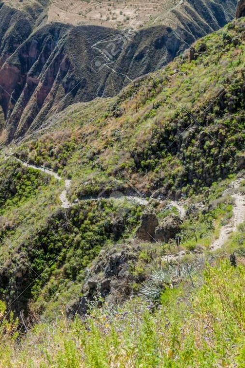 from-arequipa-2-day-colca-canyon-trekking-tour