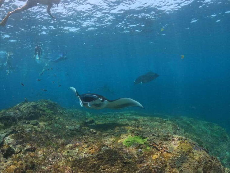 from-bali-half-day-snorkeling-3-spots-to-lembongan-penida