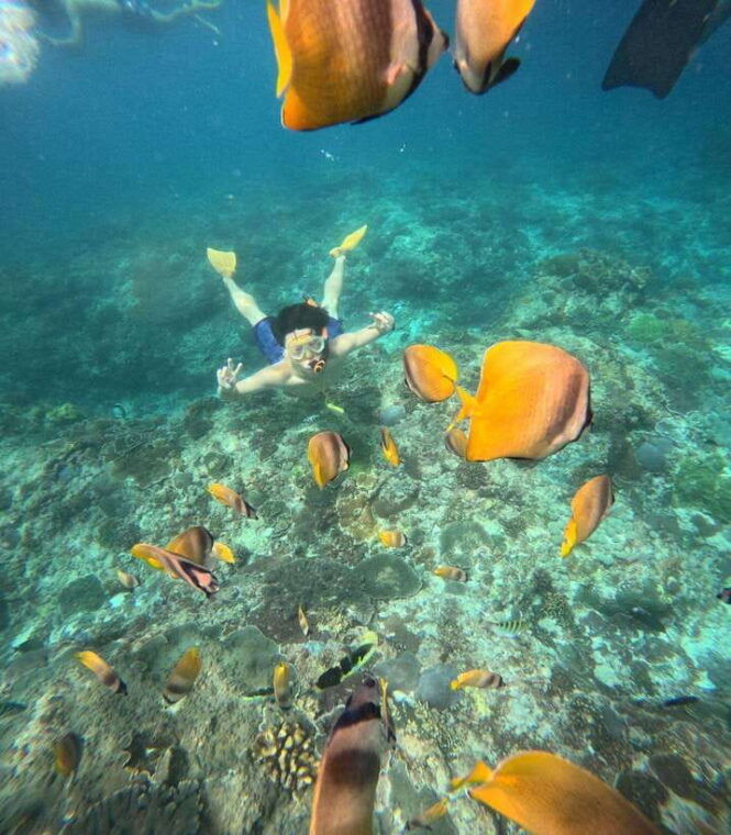 from-bali-nusa-penida-full-day-tour-and-snorkeling-3-spots